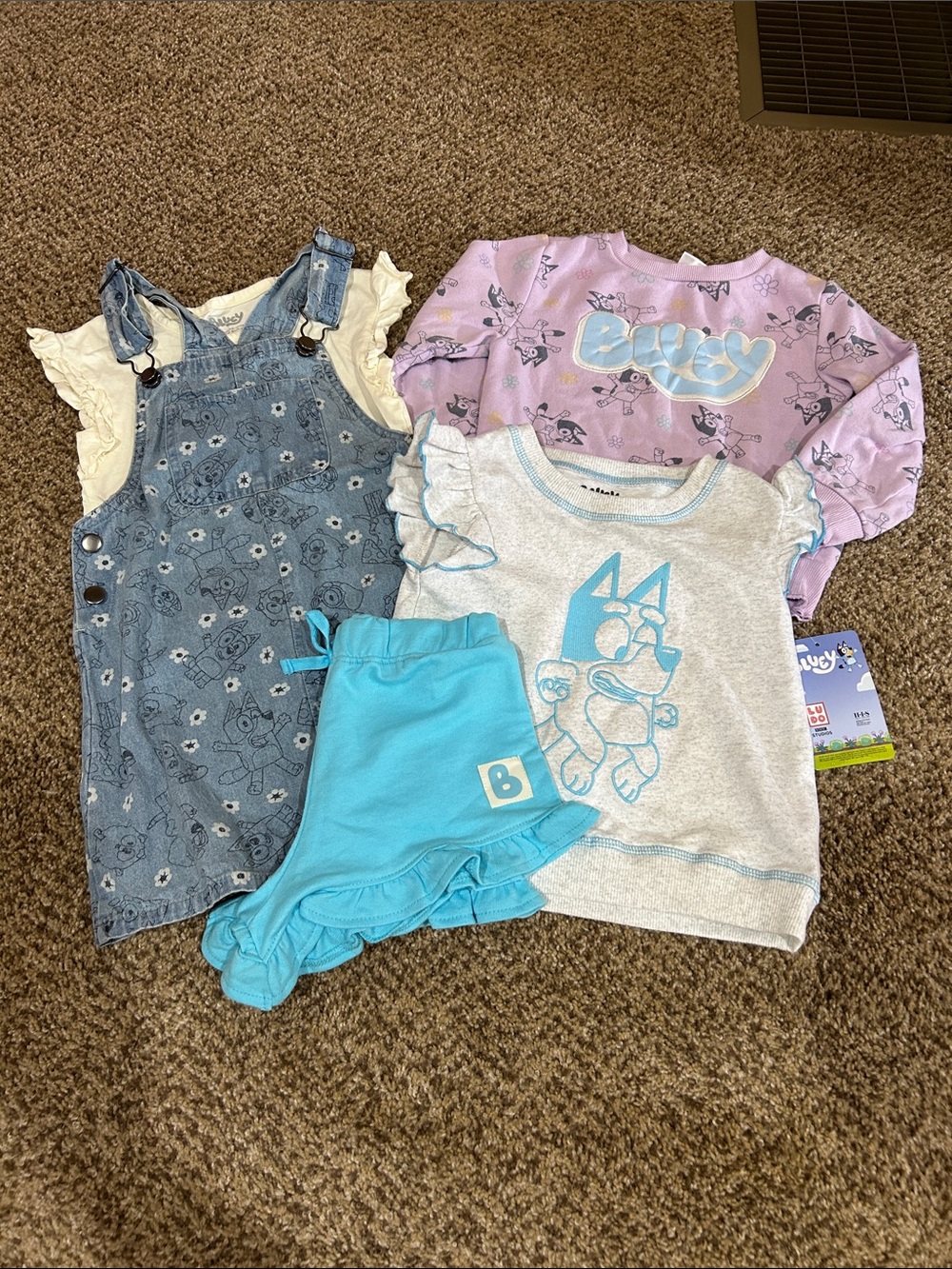 Bluey Girls Lot: Denim Overall Dress + Tops & Shorts + Sweater